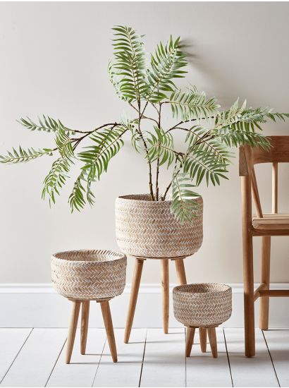 The Perfect Decorative Pots for Enhancing Indoor Plants: A Guide to Choosing the Right Size and Design The Perfect Decorative Pots for Enhancing Indoor Plants: A Guide to Choosing the Right Size and Design