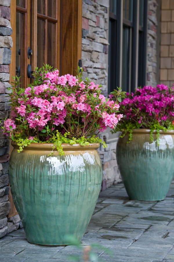 The Beauty of Large Flower Pots: Enhancing Your Garden with Stylish and Spacious Containers The Beauty of Large Flower Pots: Enhancing Your Garden with Stylish and Spacious Containers