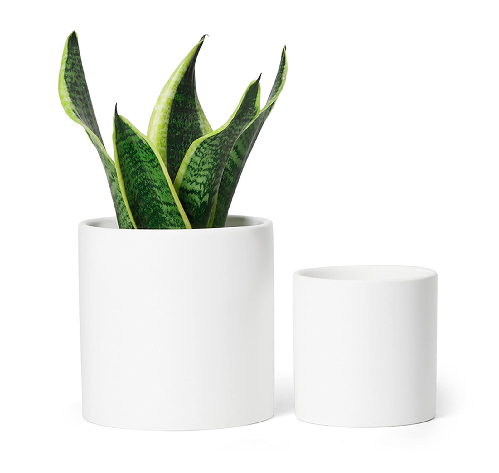 The Versatile Charm of White Plant Pots: Elevate Your Interior Décor with Simplicity The Versatile Charm of White Plant Pots: Elevate Your Interior Décor with Simplicity