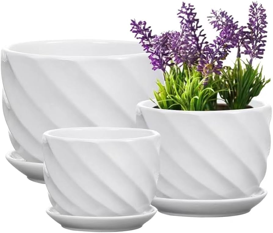 The Beauty of Ceramic Flower Pots: Enhancing Your Garden with Elegance The Beauty of Ceramic Flower Pots: Enhancing Your Garden with Elegance