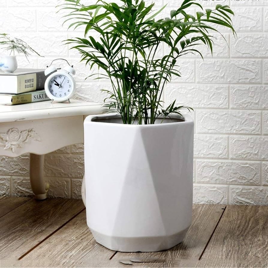 Enhance Your Interior with Extra Large Indoor Plant Pots: An Essential Guide Enhance Your Interior with Extra Large Indoor Plant Pots: An Essential Guide