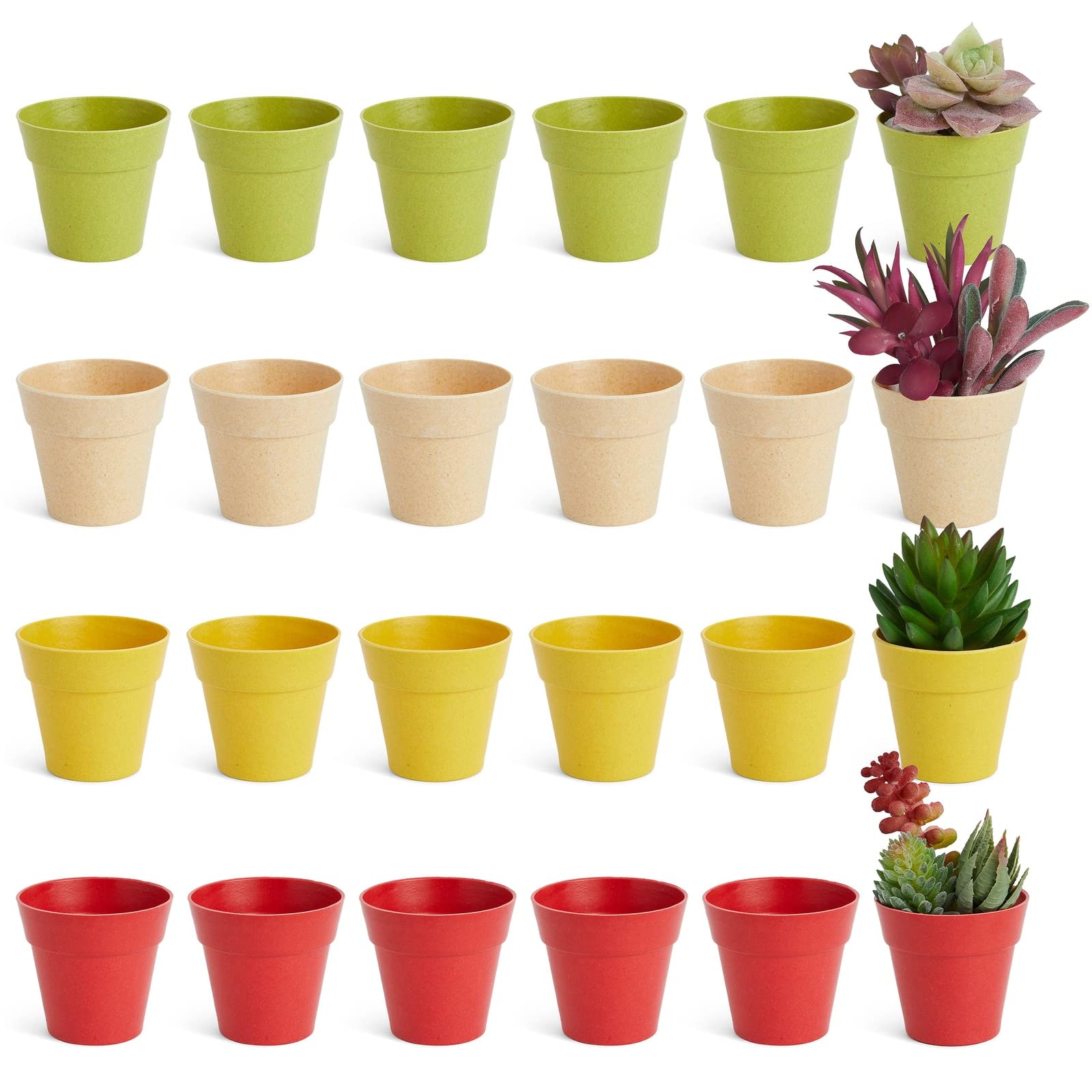 The Benefits of Using Plastic Plant Pots for Your Indoor and Outdoor Gardens The Benefits of Using Plastic Plant Pots for Your Indoor and Outdoor Gardens