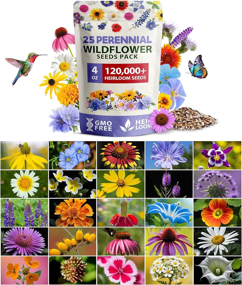 Creating a Bountiful Garden: Exploring the Benefits of Bulk Wildflower Seeds Creating a Bountiful Garden: Exploring the Benefits of Bulk Wildflower Seeds