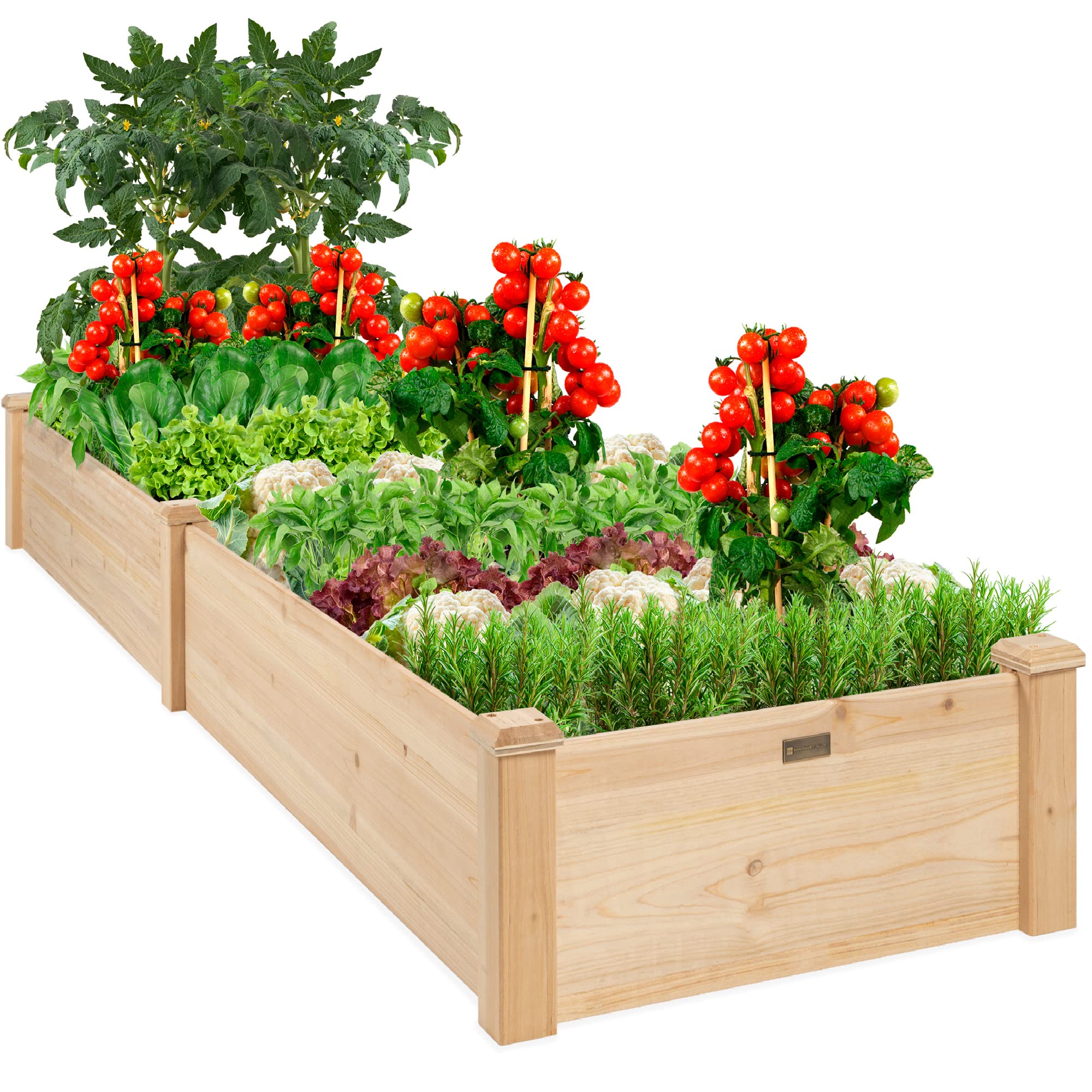 The Benefits of Using Raised Garden Boxes for Your Homegrown Vegetables The Benefits of Using Raised Garden Boxes for Your Homegrown Vegetables