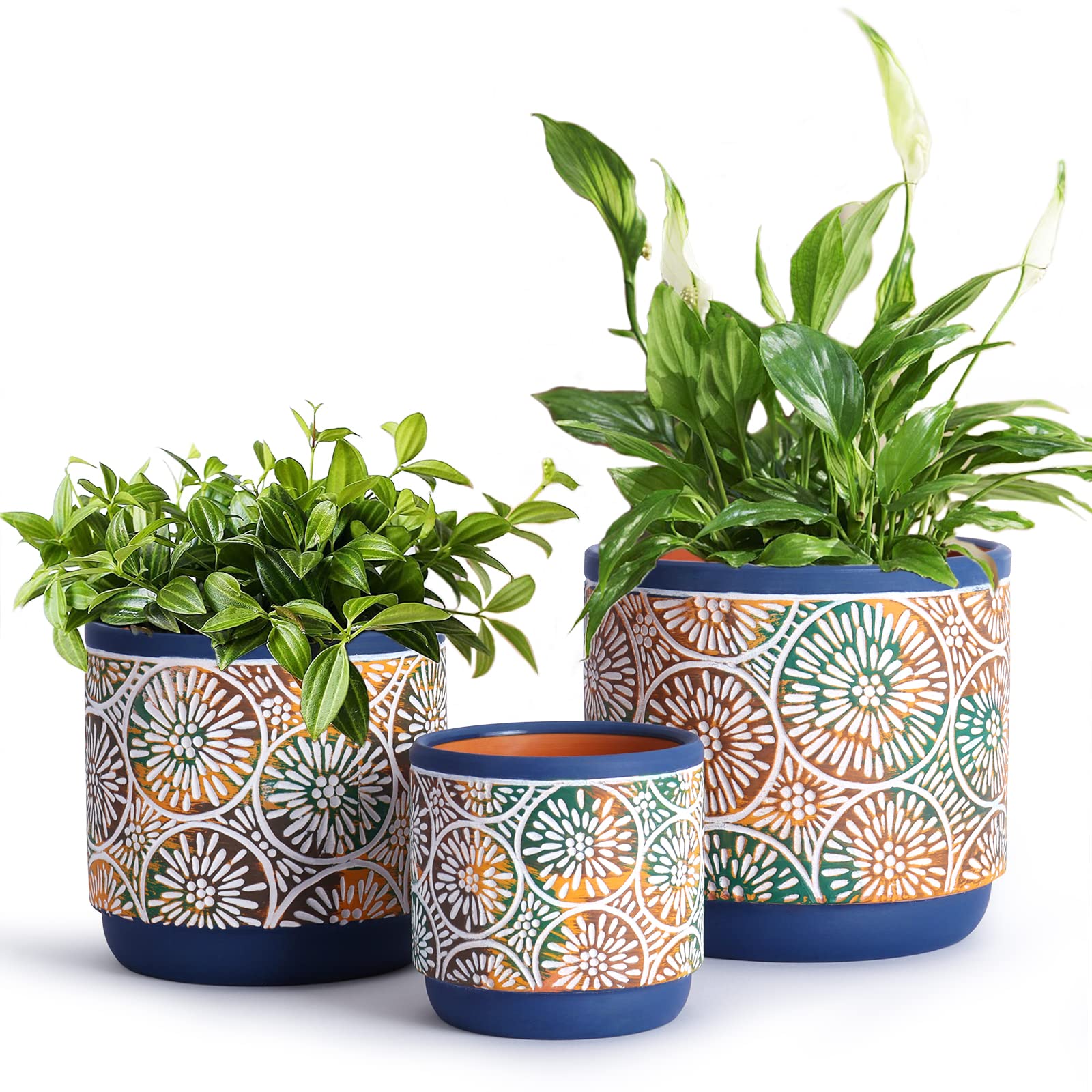 The Beauty and Versatility of Ceramic Plant Pots: Enhancing Your Greenery with Style and Function The Beauty and Versatility of Ceramic Plant Pots: Enhancing Your Greenery with Style and Function