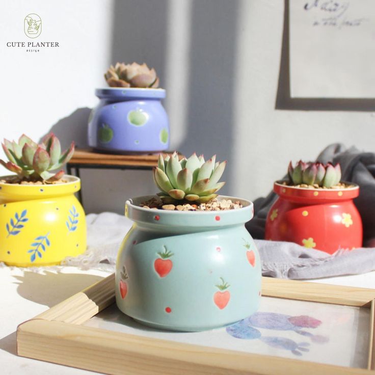 The Convenience of Succulent Delivery: Bringing Greenery to Your Doorstep Bring Nature Indoors with Creative Plant Pots that Complement Your Unique Style