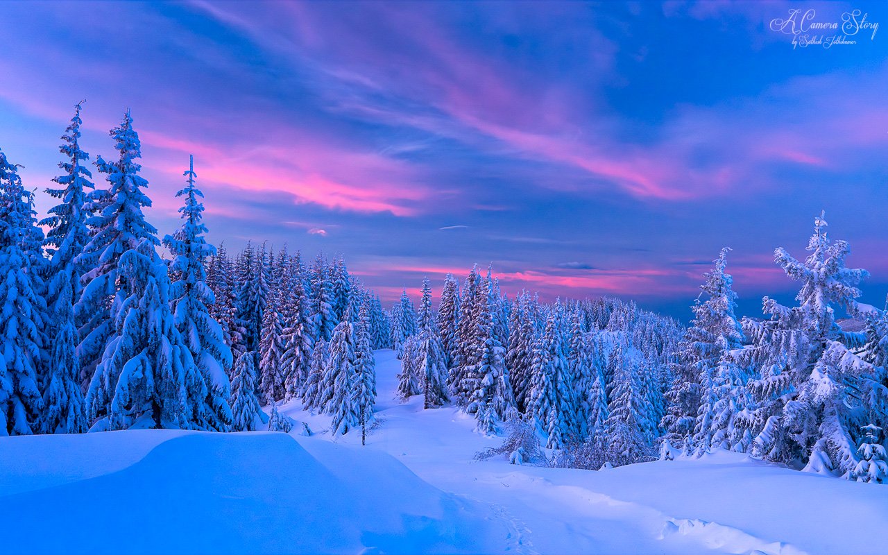 Blossom Bliss: Embracing the Enchantment of Nature’s Magic Blossom Bliss: Embracing the Enchantment of Nature's Magic