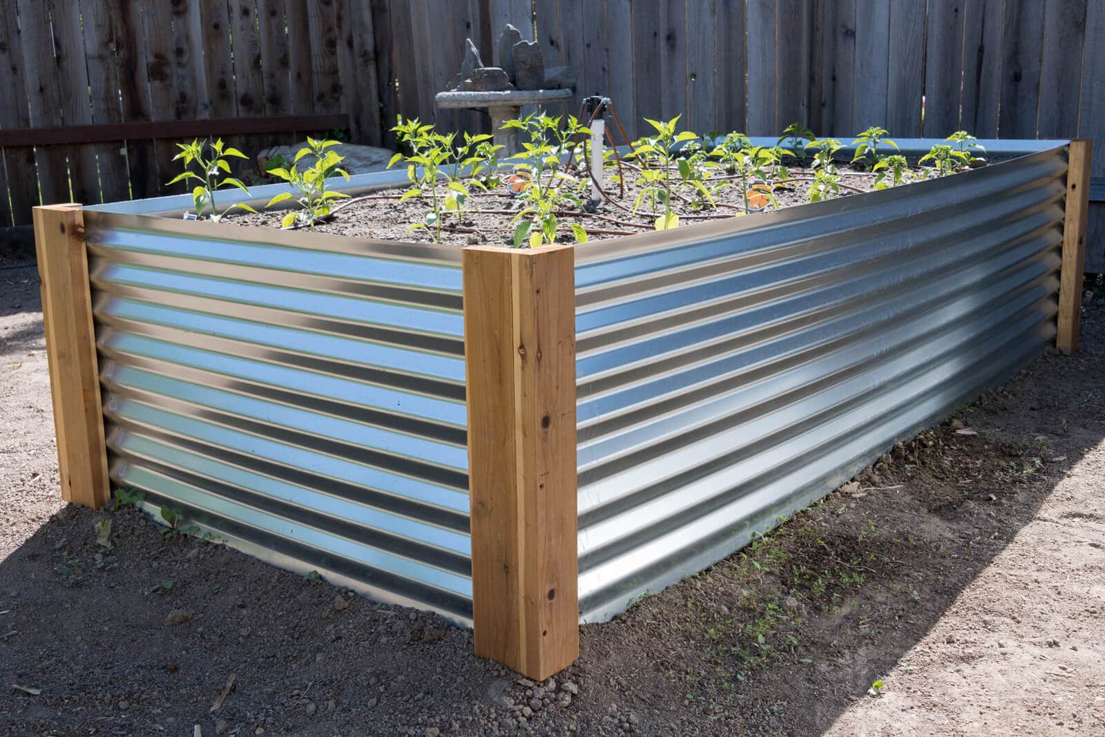 The Benefits of Using Galvanized Garden Beds: A Practical and Sustainable Solution The Benefits of Using Galvanized Garden Beds: A Practical and Sustainable Solution