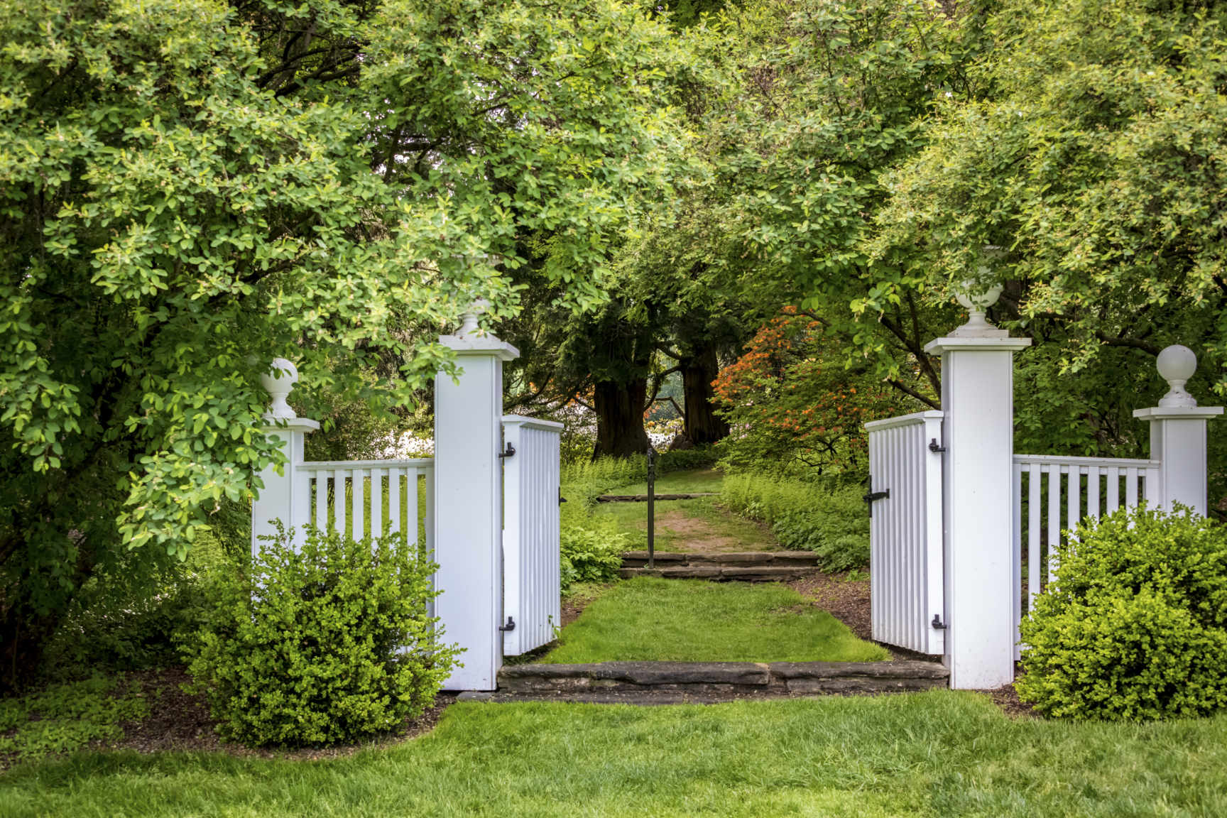 Unveiling the Hidden Gems of Nature in Secret Garden Diaries Unveiling the Hidden Gems of Nature in Secret Garden Diaries