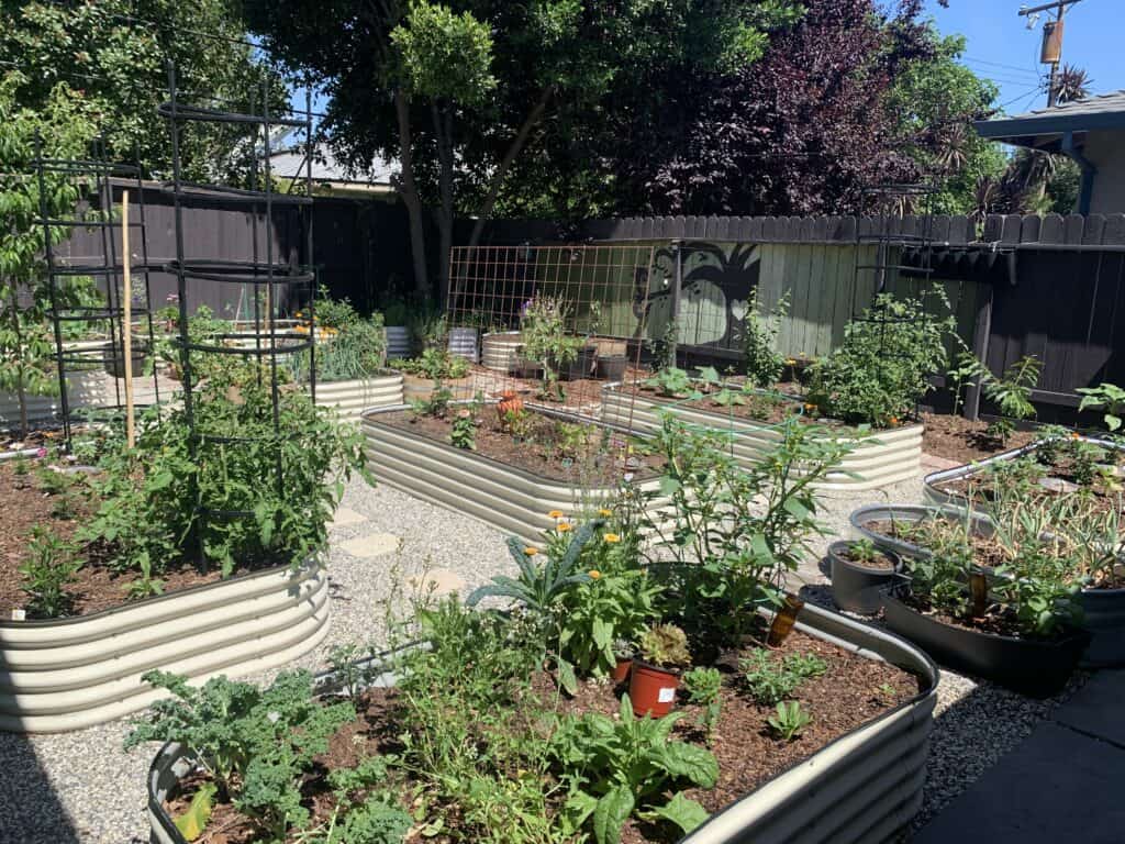 Creating a Sustainable Garden: Exploring the Benefits of Vego Garden Raised Beds Creating a Sustainable Garden: Exploring the Benefits of Vego Garden Raised Beds