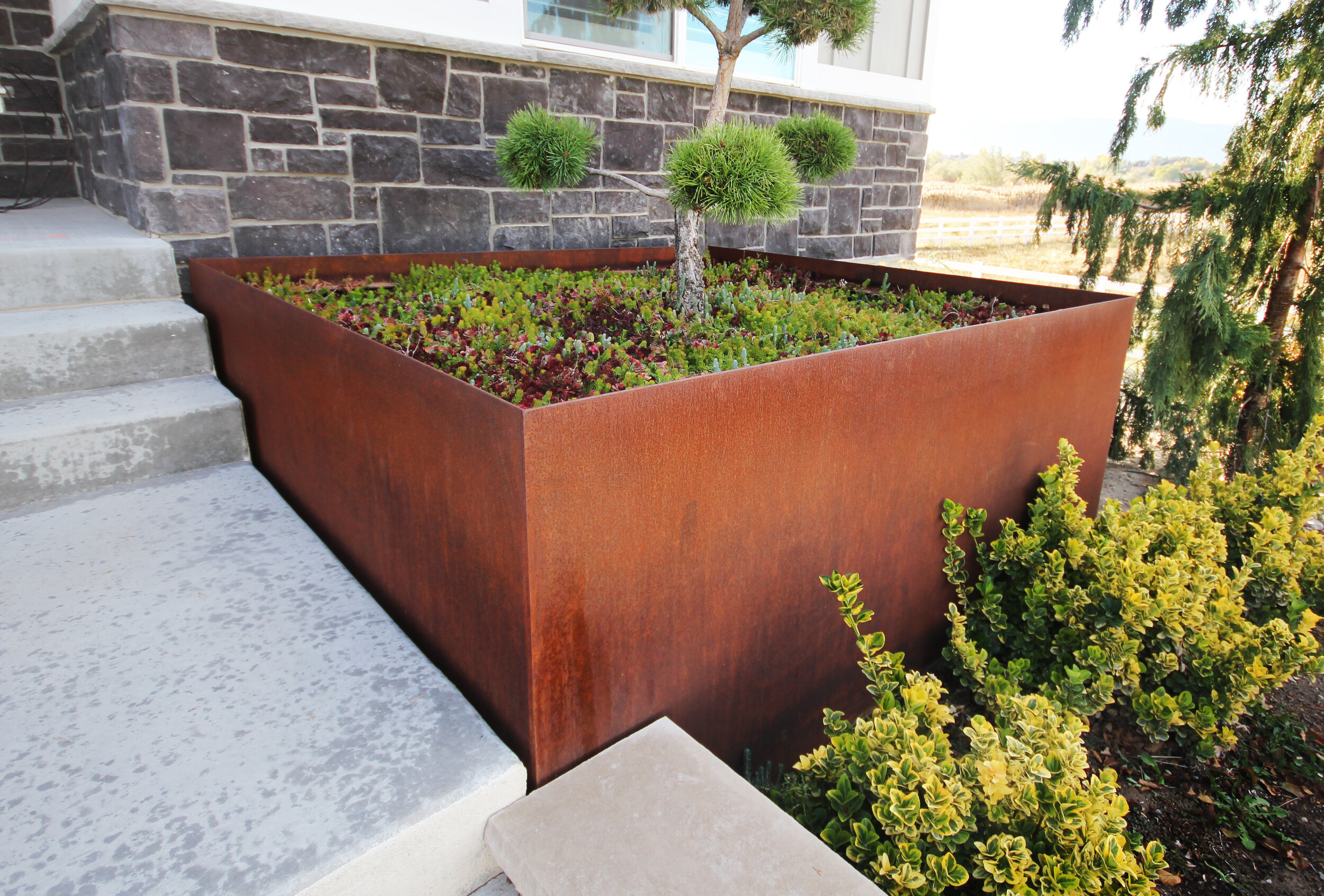 Enhancing Your Garden: Exploring the Beauty of Steel Planter Boxes Enhancing Your Garden: Exploring the Beauty of Steel Planter Boxes