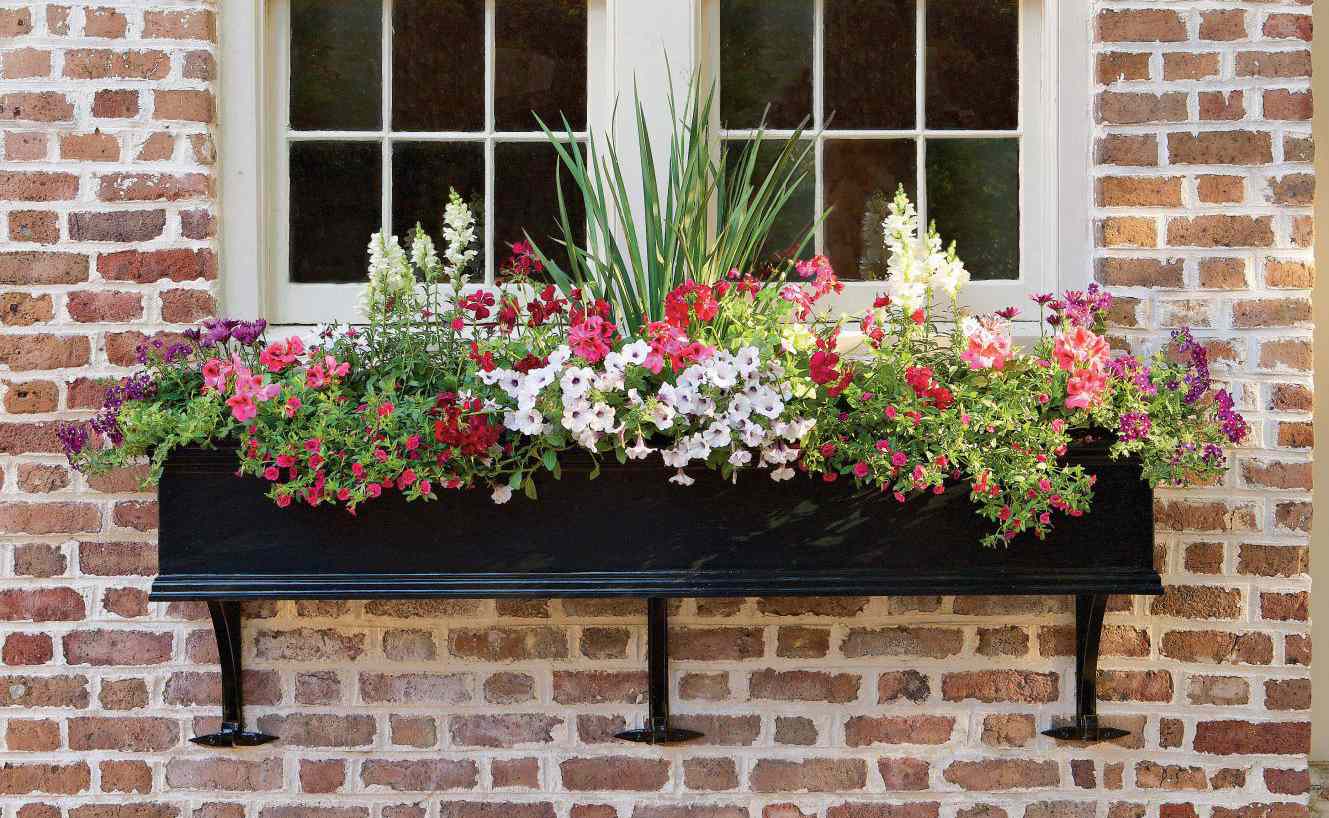 Enhance Your Home’s Charm with Beautiful Window Flower Boxes Enhance Your Home's Charm with Beautiful Window Flower Boxes
