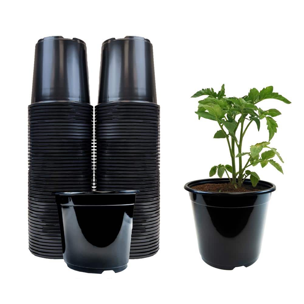 the Best Plant Pots Near Me for Beautiful Indoor and Outdoor Gardening the Best Plant Pots Near Me for Beautiful Indoor and Outdoor Gardening