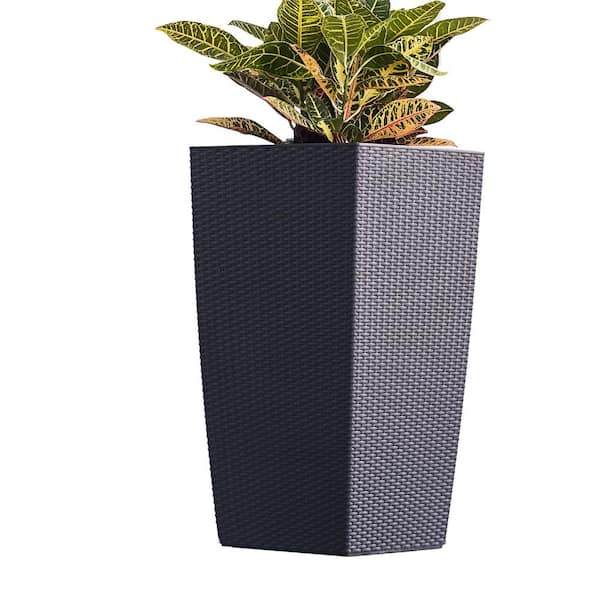 A Guide to Choosing Tall Plant Pots for Your Indoor Greenery A Guide to Choosing Tall Plant Pots for Your Indoor Greenery
