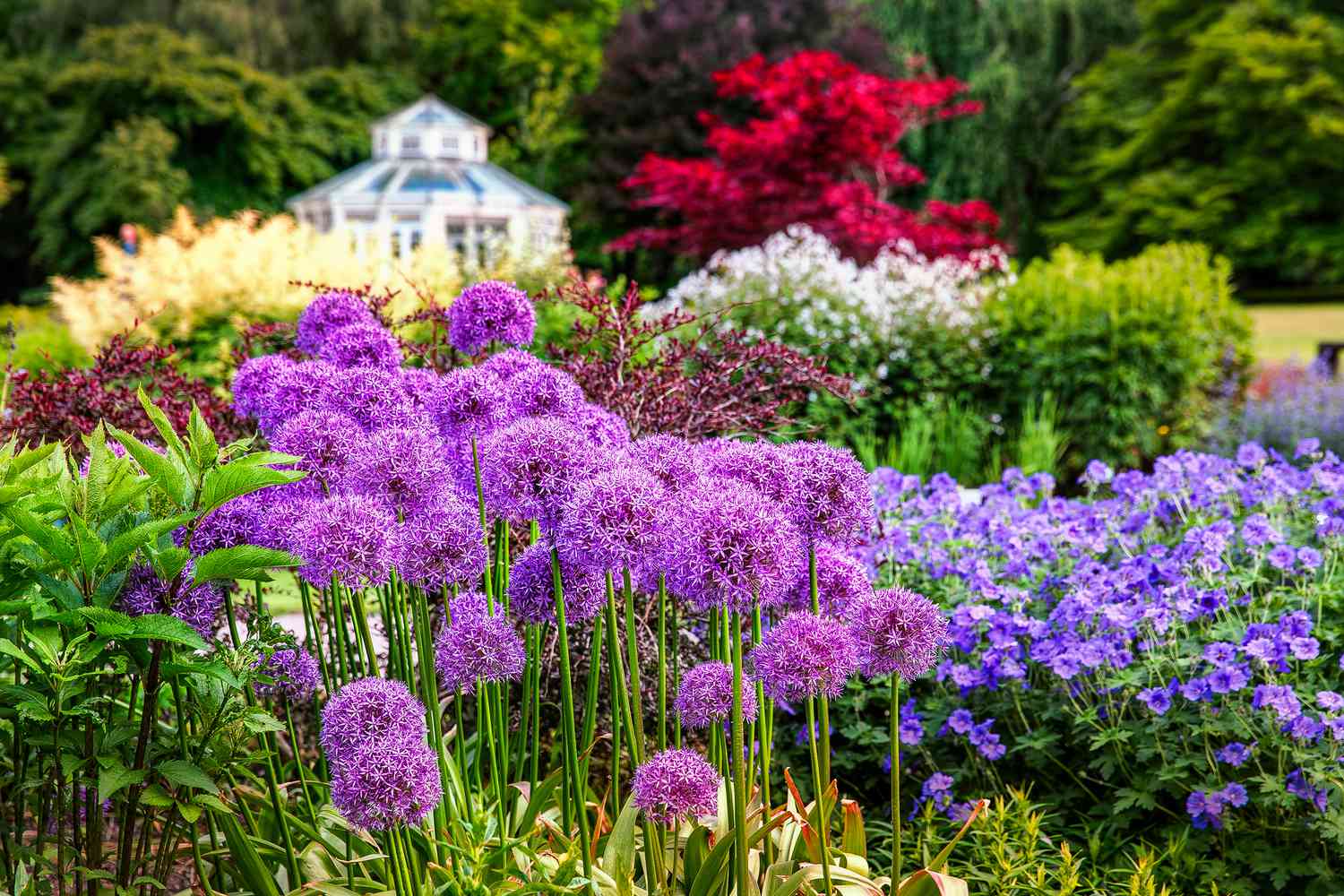 Creating a Beautiful Deer-Resistant Perennial Garden: A Guide to Planting Strategies and Expert Tips Creating a Beautiful Deer-Resistant Perennial Garden: A Guide to Planting Strategies and Expert Tips