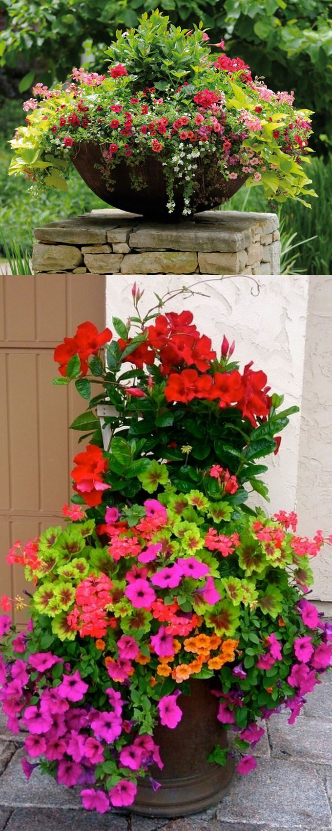 A Beginner’s Guide to Choosing the Perfect Garden Pots for Your Plants A Beginner's Guide to Choosing the Perfect Garden Pots for Your Plants