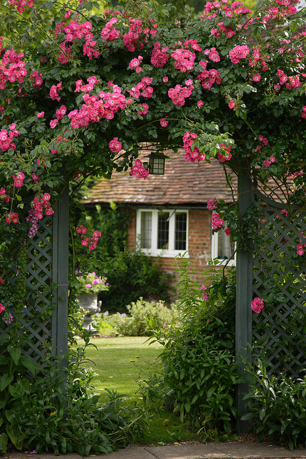 Enhance Your Garden with Beautiful Flower Trellis Designs Enhance Your Garden with Beautiful Flower Trellis Designs
