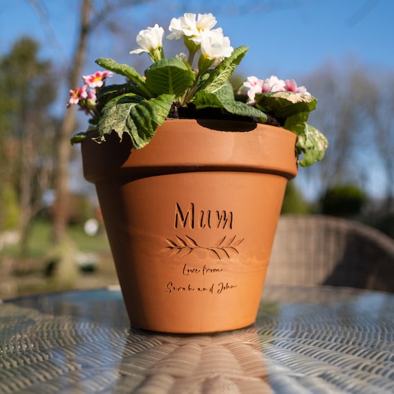 Adding a Personal Touch: Choosing the Perfect Plant Pots for Your Home Decor Adding a Personal Touch: Choosing the Perfect Plant Pots for Your Home Decor