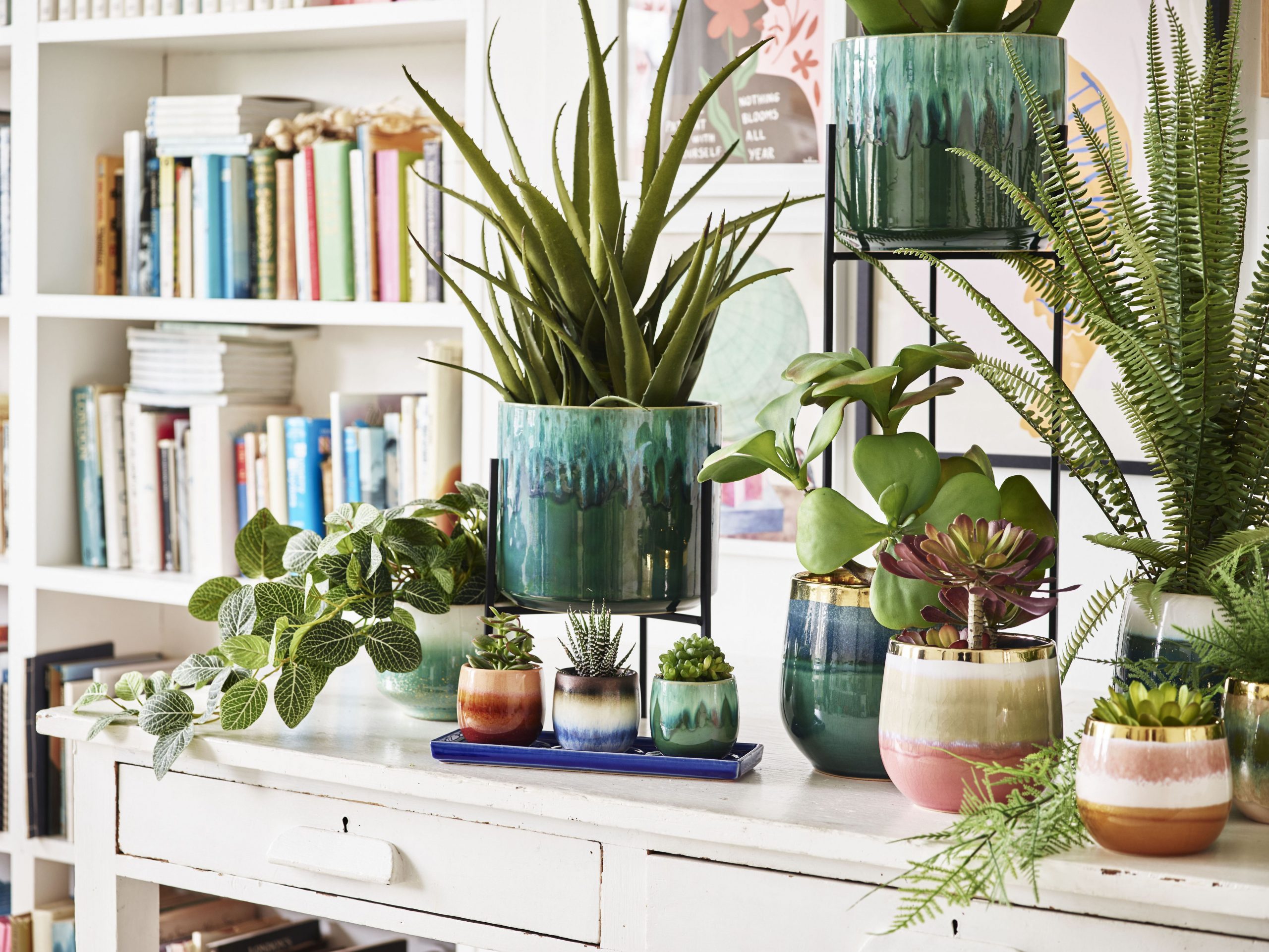 The Perfect Selection of Indoor Plant Pots for Your Home Decor The Perfect Selection of Indoor Plant Pots for Your Home Decor