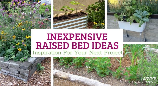Affordable Raised Garden Beds: Practical Solutions for Budget-Friendly Gardening Affordable Raised Garden Beds: Practical Solutions for Budget-Friendly Gardening
