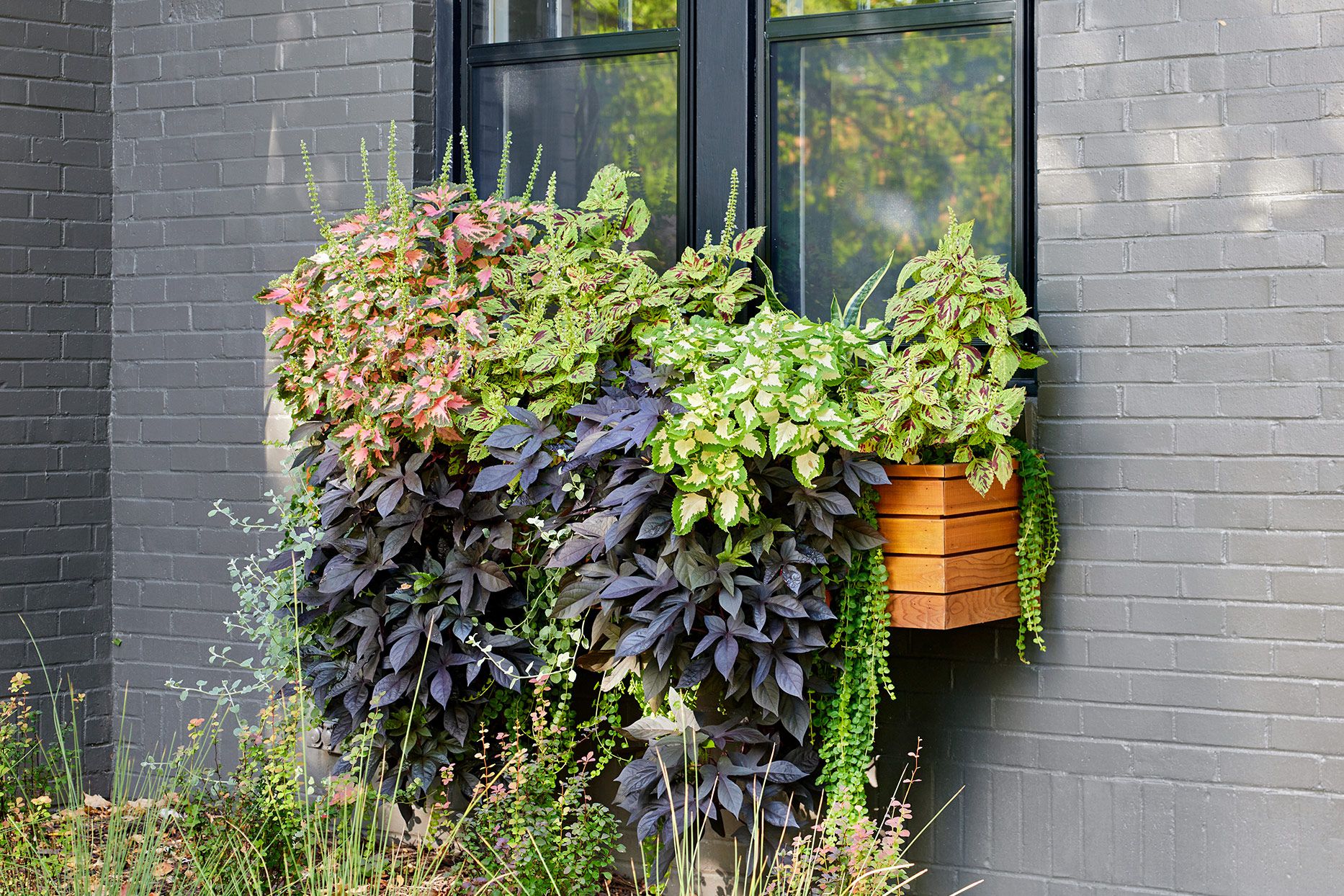 A Guide to Enhancing Your Home with Beautiful Window Planters A Guide to Enhancing Your Home with Beautiful Window Planters