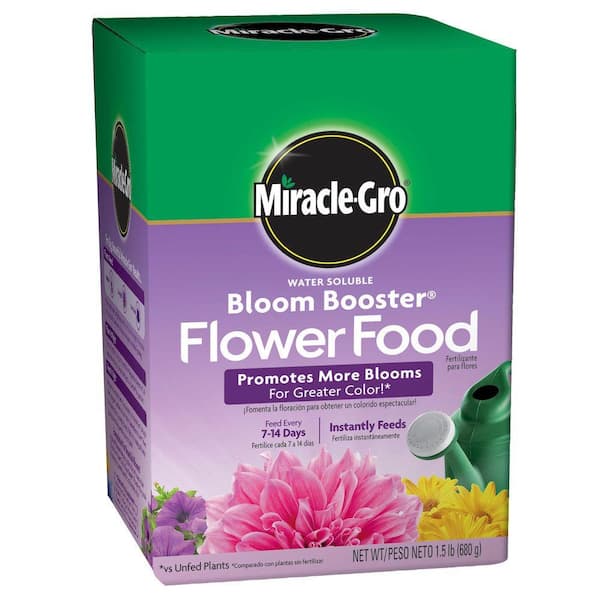 Blooming Success: Unveiling the Wonders of Miracle-Gro’s Bloom er Blooming Success: Unveiling the Wonders of Miracle-Gro's Bloom er