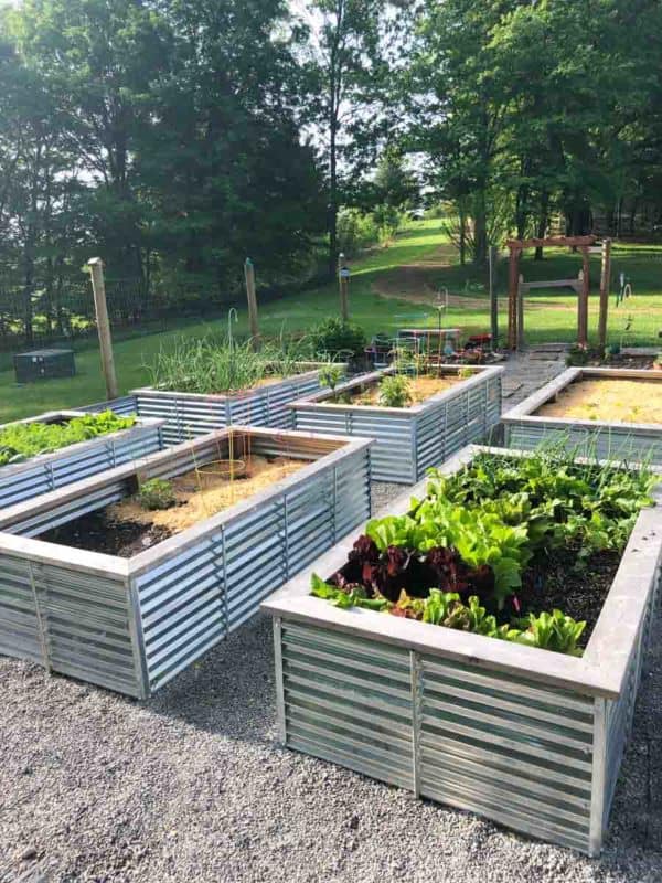 Elevate your Gardening Experience with Galvanized Steel Garden Beds Elevate your Gardening Experience with Galvanized Steel Garden Beds