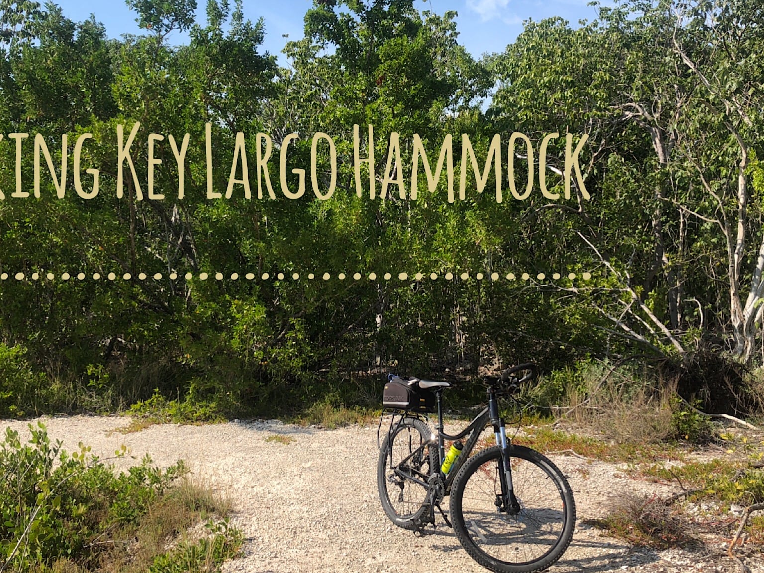 Finding Your Way Through Nature’s Abundance with Petal Pathways Finding Your Way Through Nature's Abundance with Petal Pathways