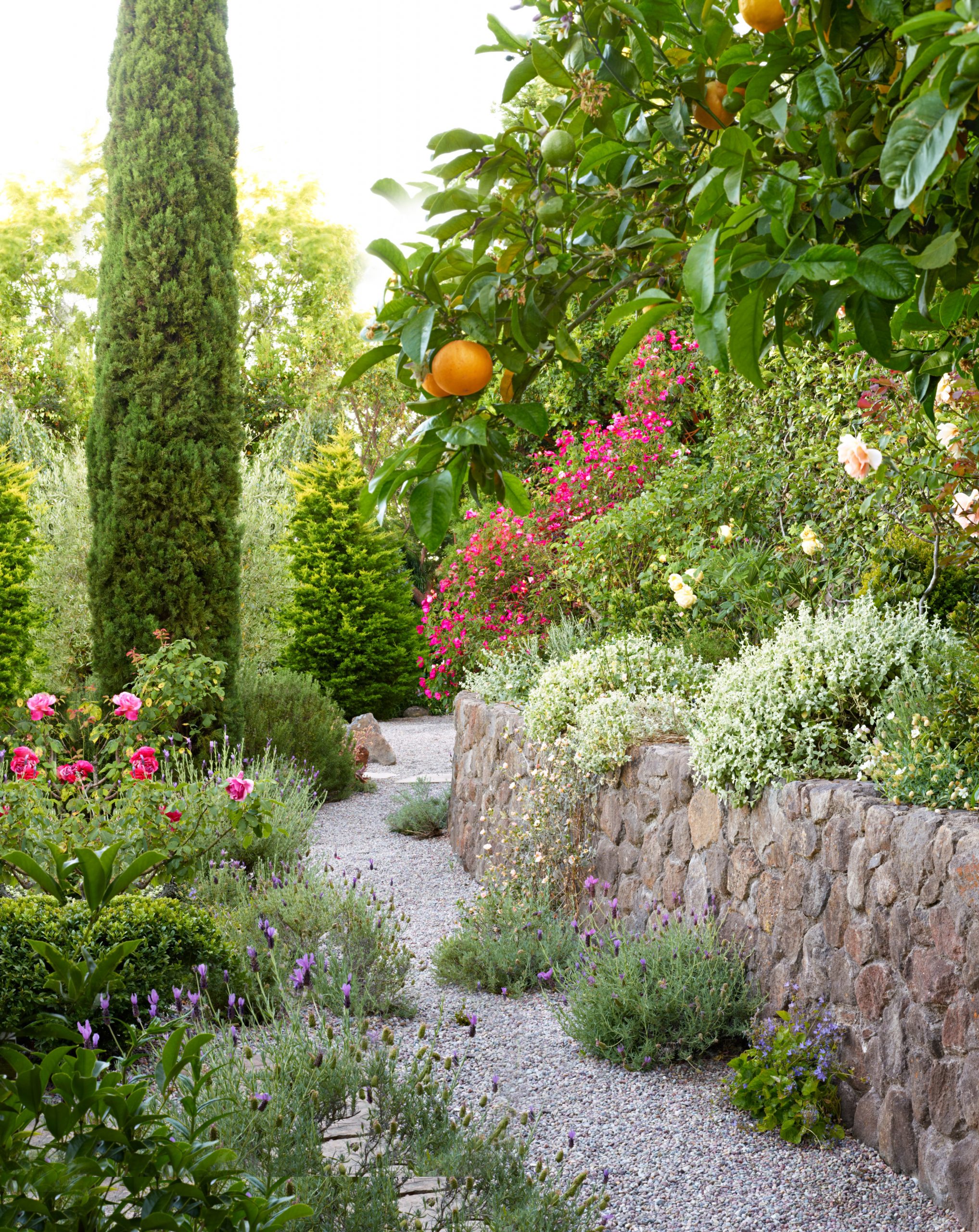 Creating a Tranquil Oasis: Inspiring Mediterranean Garden Landscaping Ideas Creating a Tranquil Oasis: Inspiring Mediterranean Garden Landscaping Ideas