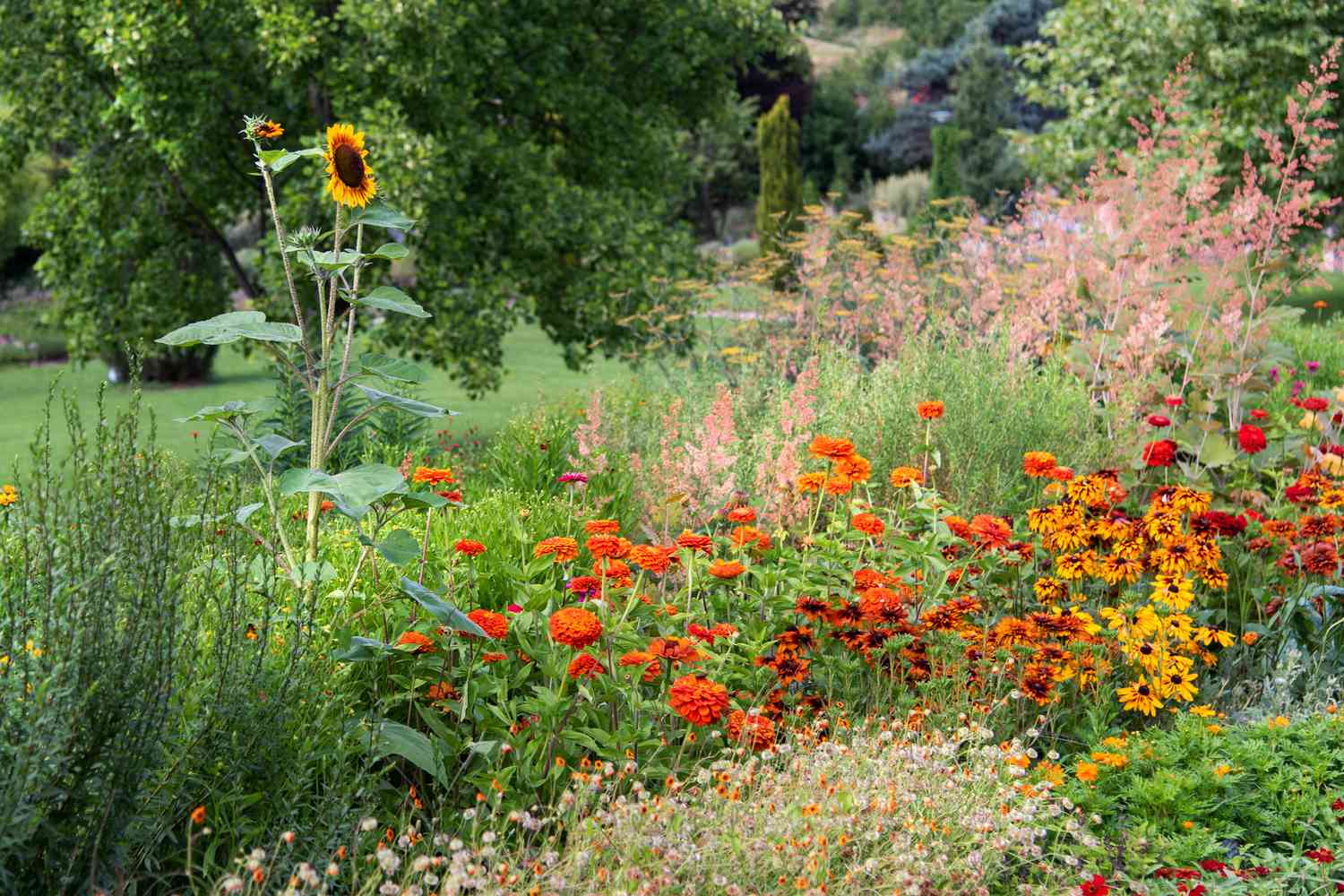 Embrace the Natural Splendor of Native Plants: Inspiring Garden Landscaping Ideas Embrace the Natural Splendor of Native Plants: Inspiring Garden Landscaping Ideas