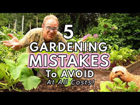 5 Essential Tips for a Successful Vegetable Garden 5 Essential Tips for a Successful Vegetable Garden