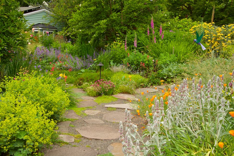 How to Cultivate a Stunning Garden with Native Plants: Practical Tips and Ideas How to Cultivate a Stunning Garden with Native Plants: Practical Tips and Ideas