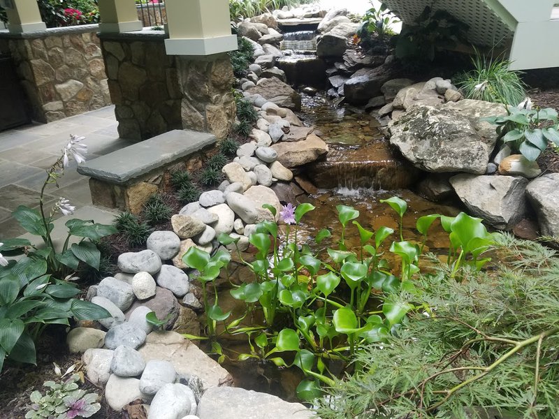 Enhance Your Garden Oasis with Beautiful Water Features Enhance Your Garden Oasis with Beautiful Water Features