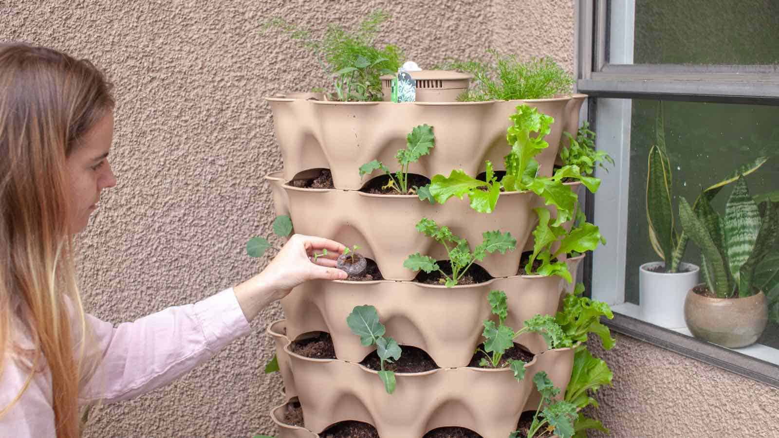 The Advantages of Vertical Gardening: Effective Space Utilization Strategies The Advantages of Vertical Gardening: Effective Space Utilization Strategies