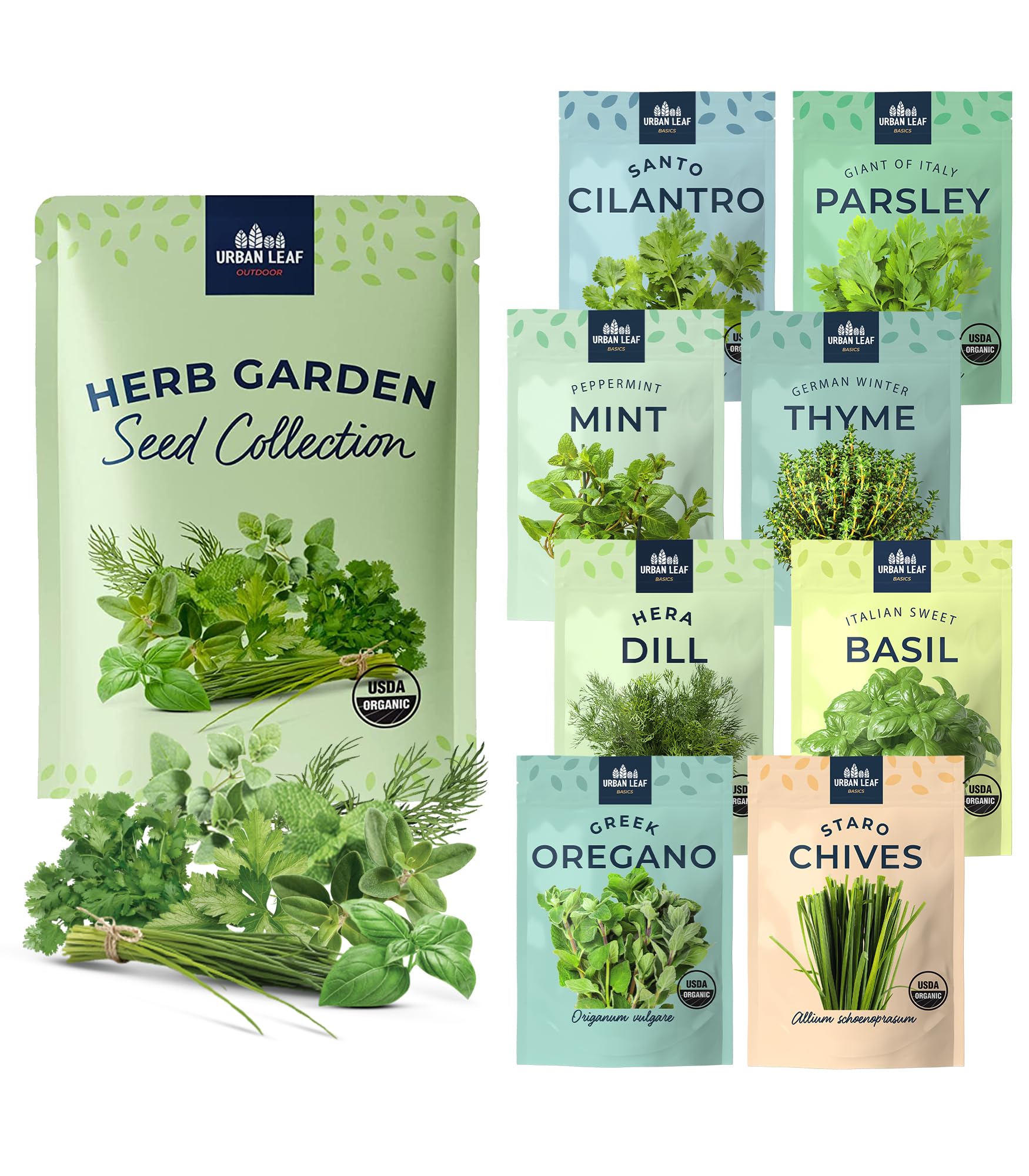 Where to Find High-Quality Organic Gardening Seeds for Your Home Garden Where to Find High-Quality Organic Gardening Seeds for Your Home Garden