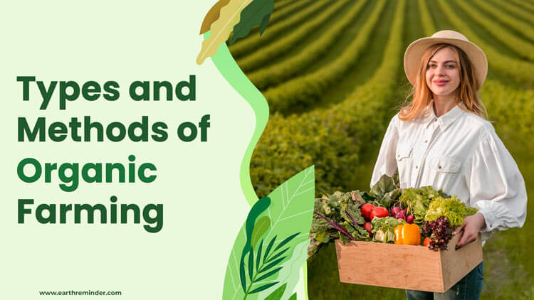 The Science Behind Organic Gardening: Understanding the Principles of Sustainable Practices The Science Behind Organic Gardening: Understanding the Principles of Sustainable Practices