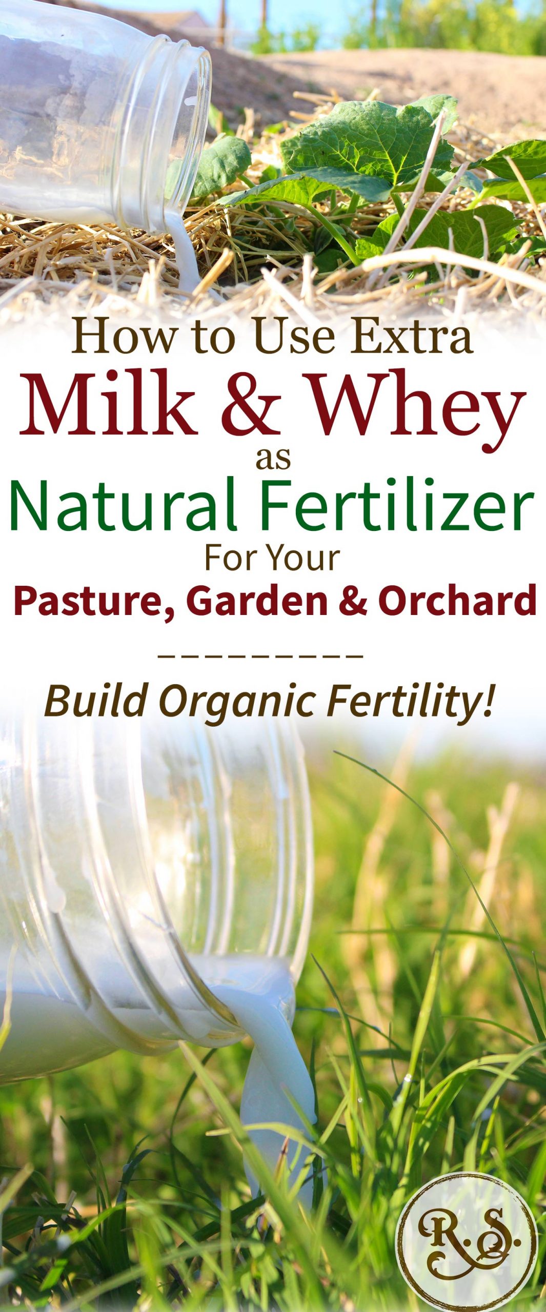 Top Organic Fertilizers to Enrich Your Garden Naturally Top Organic Fertilizers to Enrich Your Garden Naturally