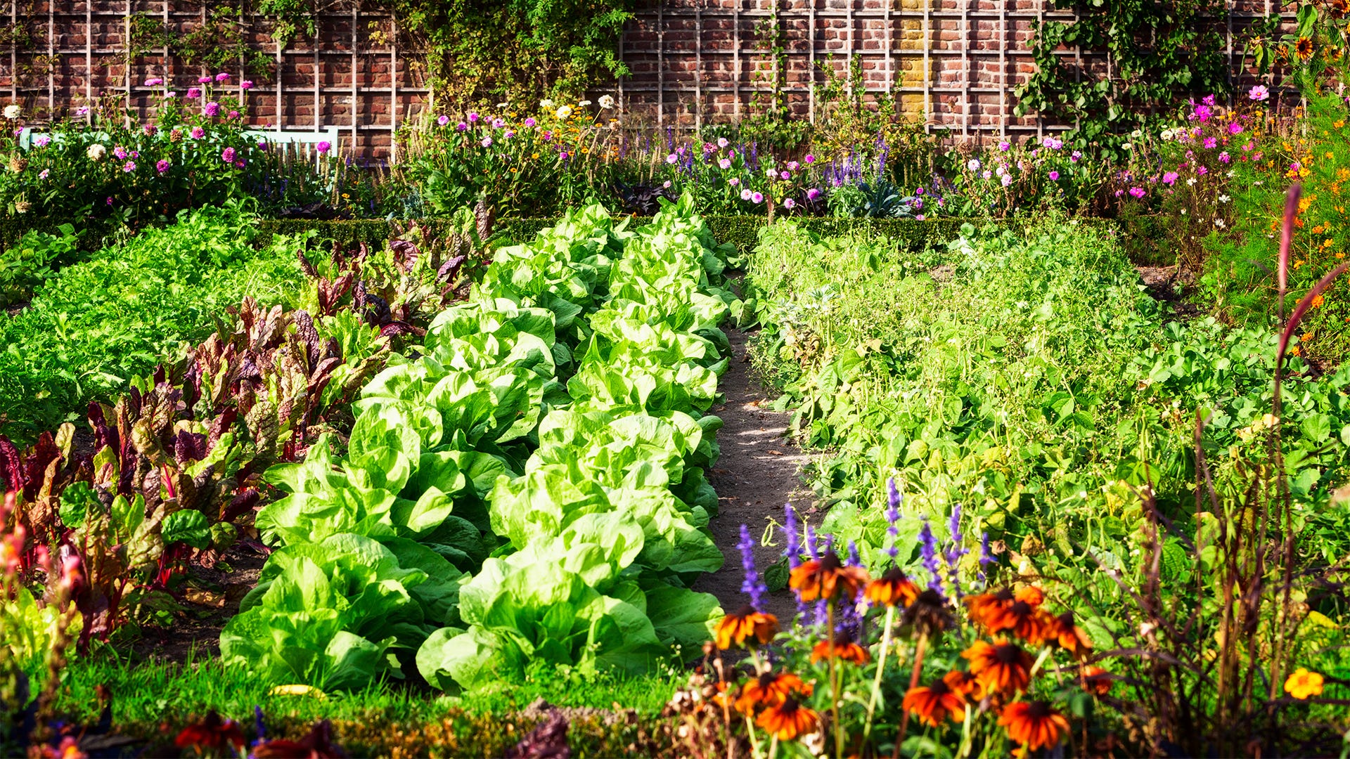 Top Locations for Learning Organic Gardening: Where to Find Classes Near You Understanding Organic Gardening: What 'Organic' Really Means for Your Garden