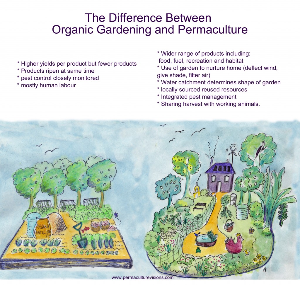 Understanding Conventional Gardening: A Detailed Contrast to Organic Practices Understanding Conventional Gardening: A Detailed Contrast to Organic Practices