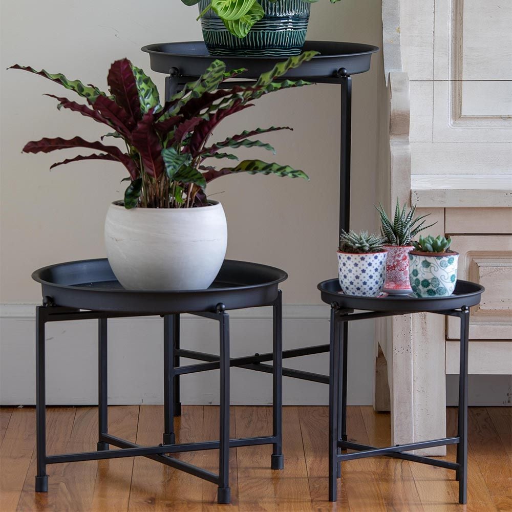 Discover the Ultimate Home Improvement & Outdoor Living Show: Transform Your Space Today! Stylish and Functional Plant Stands Perfect for Your Large Green Companions