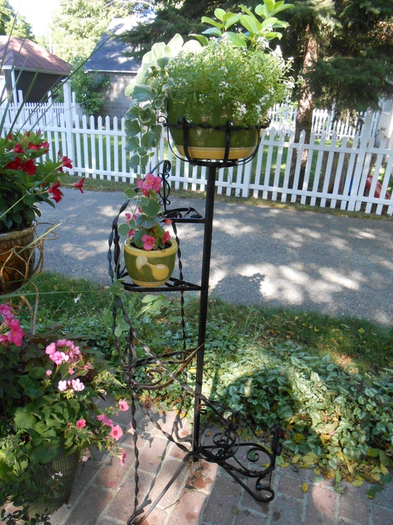 Charming Antique Wrought Iron Plant Stands: A Touch of Elegance for Your Home Charming Antique Wrought Iron Plant Stands: A Touch of Elegance for Your Home