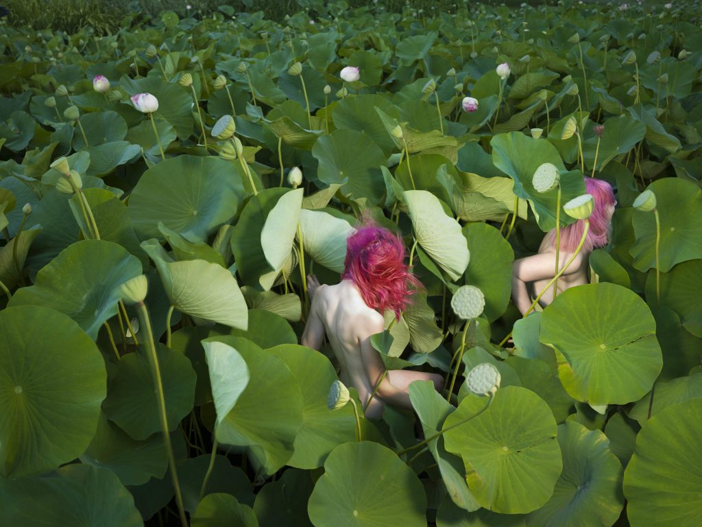 Indoor Plant Sale: Beautiful Greenery for Your Home & Office Space Tamara Dean: Nature-Inspired Art that Captivates and Inspires