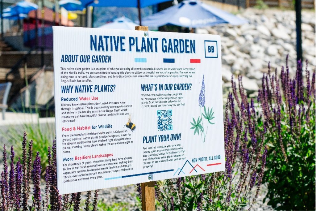 Keep Your Plants Thriving in Hot, Dry Weather: Tips and Tricks Keep Your Plants Thriving in Hot, Dry Weather: Tips and Tricks