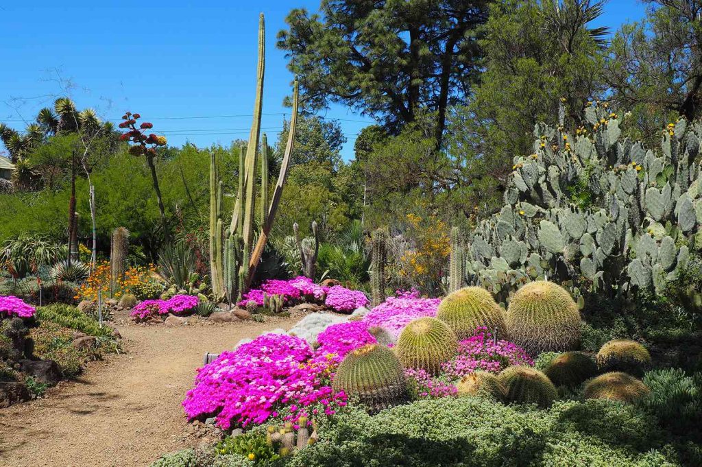 The Most Beautiful Garden in the World: A Paradise for Nature Lovers The Most Beautiful Garden in the World: A Paradise for Nature Lovers
