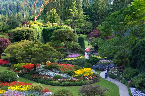 Explore the Most Beautiful Gardens Around the World Today Explore the Most Beautiful Gardens Around the World Today