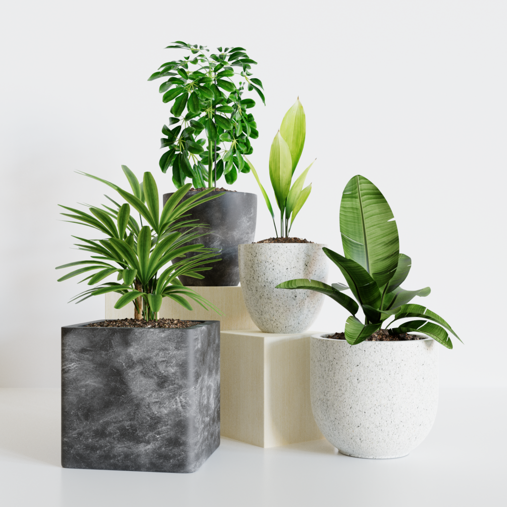 Exciting Plant Gifting Sale: Perfect Gifts for Every Nature Lover! Create Exciting Pot Plant Groups: Tips & Ideas for Your Home Garden