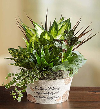 A Life So Beautiful Dish Garden: Inspiring Indoor Planter Ideas A Life So Beautiful Dish Garden: Inspiring Indoor Planter Ideas
